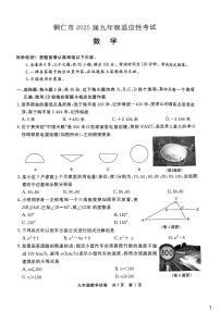 贵州省铜仁市2025年4月中考适应性考试一模数学试卷（含答案）
