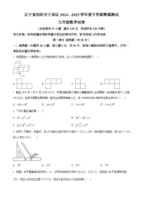 2025年辽宁省沈阳市于洪区中考模拟预测数学试题（原卷+答案与解释）2024-202学年第二学期 中考模拟