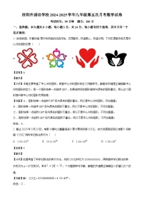 广东省深圳市外国语学校2024-2025学年九年级下学期第五次月考 数学试卷（一模）（含解析）
