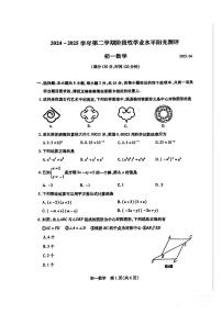 上海市浦东区2024-2025学年第二学期七年级数学期中试卷