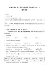 【2025届上海初三数学二模】2025届上海市普陀区初三数学二模试卷