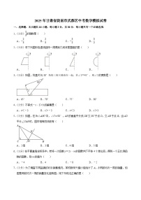 2025年甘肃省陇南市武都区中考数学模拟试卷