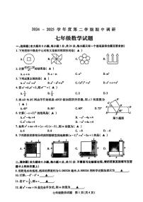 江苏省徐州市沛县2024-2025学年七年级下数学期中试卷