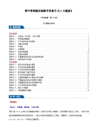 2025《初中数学•期中压轴易错题21大专题》七年级下册试题（含答案）(人教版)