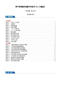 2025《初中数学•期中压轴易错题24大专题》七年级下册试题（含答案）(沪科版)