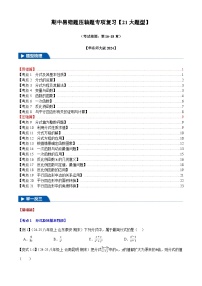 2025《初中数学•期中压轴易错题21大专题》八年级下册试题（含答案）(华师版)