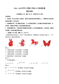 湖北省名校2024-2025学年八年级上学期12月质量监测数学试卷(含解析)