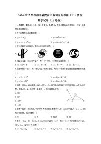 湖北省武汉市蔡甸区2025届九年级上学期10月质检数学试卷(含答案)