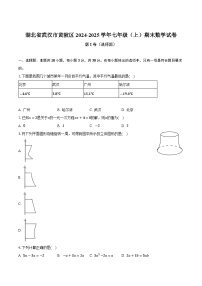 湖北省武汉市黄陂区2024-2025学年七年级上学期期末考试数学试卷(含答案)
