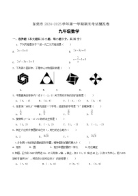 广东省东莞市2025届九年级上学期期末模拟考试数学试卷(含答案)