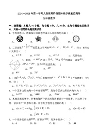 广东省阳江市阳西县2025届九年级上学期1月期末考试数学试卷(含答案)