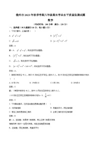 海南省儋州市2023-2024学年八年级上学期期末考试数学试卷(含解析)