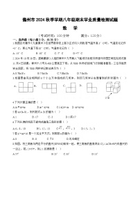 海南省儋州市2024-2025学年八年级上学期期末考试数学试卷(含答案)