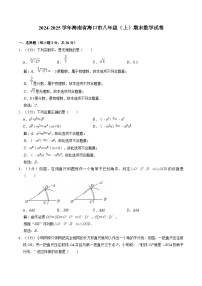 海南省海口市2024-2025学年八年级上学期1月期末考试数学试卷(含答案)
