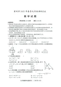 湖北黄冈2025年九年级下学期4月调研数学试题+答案