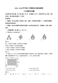 吉林省吉林市永吉县2025届九年级上学期期末考试数学试卷(含解析)