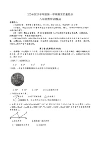 山东省滨州市滨城区2024-2025学年八年级上学期期末考试数学试卷(含答案)
