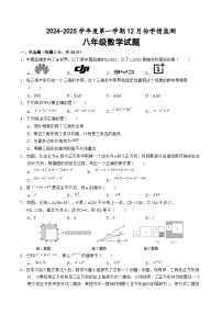山东省济宁市金乡县2024-2025学年八年级上学期12月月考数学试卷(含答案)