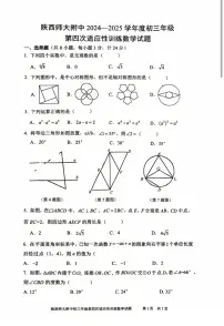 2025年师大附中四模数学试卷（无答案）