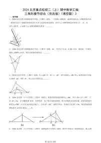 2024北京重点校初二（上）期中真题数学汇编：三角形章节综合（京改版）（填空题）3
