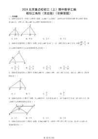 2024北京重点校初三（上）期中真题数学汇编：相似三角形（京改版）（非解答题）