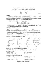 2025年山东省临沂市兰山区中考一模数学试卷（含答案）