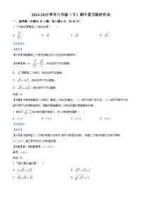 安徽省合肥市第四十五中学2024-2025学年八年级下学期 数学期中测试卷（含解析）