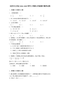 北京市大兴区2024-2025学年上学期七年级期中 数学试卷（含解析）