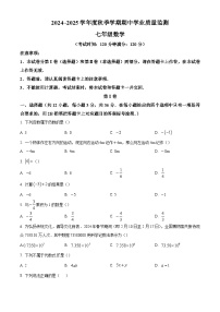 广西南宁市武鸣区2024-2025学年上学期七年级 数学期中考试试卷（含解析）