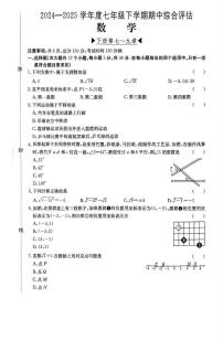 河北省廊坊市2024-2025学年七年级下学期4月期中 数学试题（PDF版）