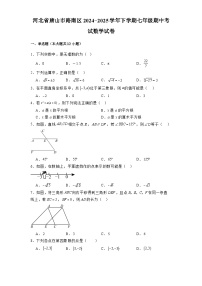 河北省唐山市路南区2024-2025学年下学期七年级期中考试 数学试卷（含解析）