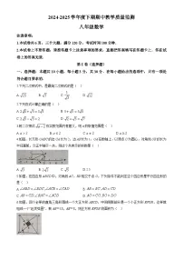 河南省信阳市2024-2025学年八年级下学期期中 数学试卷（含解析）