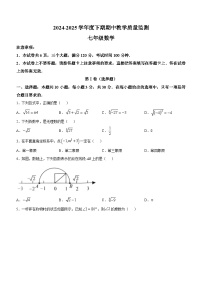 河南省信阳市2024-2025学年七年级下学期期中 数学试卷（含解析）