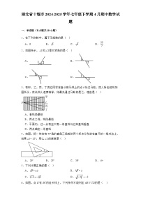 湖北省十堰市2024-2025学年七年级下学期4月期中 数学试题（含解析）