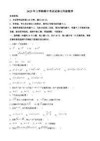 湖南省邵阳市武冈市2024-2025学年七年级下学期期中考试 数学试卷