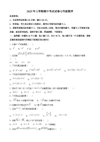 湖南省邵阳市武冈市2024-2025学年七年级下学期期中考试 数学试卷