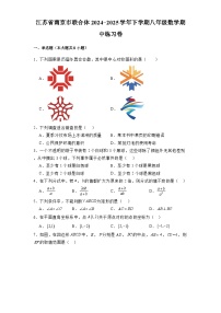 江苏省南京市联合体2024-2025学年下学期八年级 数学期中练习卷（含解析）