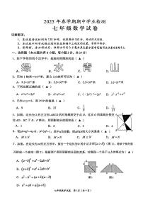 江苏省盐城市大丰区2024-2025学年七年级下数学期中试卷