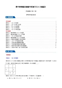 2025《初数学•期中试卷压轴易错题15大专题》7年级下册(华师)