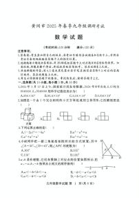 湖北黄冈2025年九年级调研数学试题+答案