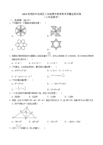 四川省绵阳市涪城区2024-2025学年八年级上学期1月期末考试数学试卷(含答案)