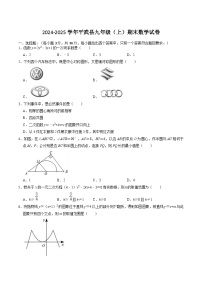 四川省绵阳市平武县2025届九年级上学期1月期末考试数学试卷(含答案)