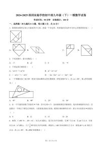 2024-2025深圳实验学校初中部九年级（下）一模数学试卷