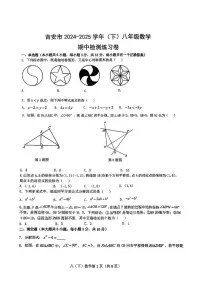 江西省吉安市2024-2025学年第二学期期中测试八年级数学试卷