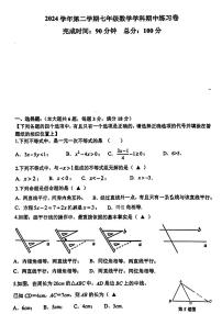 上海市奉贤区部分学校2024-2025学年七年级下数学期中试卷