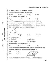 天津市河东区2024—2025下学期期中测试八年级数学试卷
