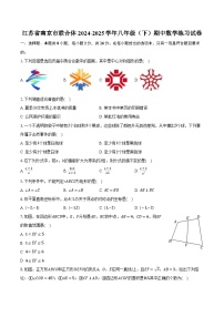 江苏省南京市联合体2024-2025学年八年级（下）期中数学练习试卷（含解析）