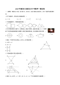 黑龙江省绥化市2025年中考数学一模试卷（含解析）