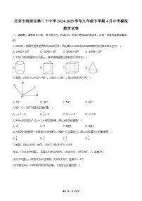北京市海淀区第二十中学2024-2025学年九年级下学期4月中考模拟数学试卷（含解析）