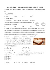 2025年四川省遂宁高级实验学校外国语学校中考数学一诊试卷（含答案）